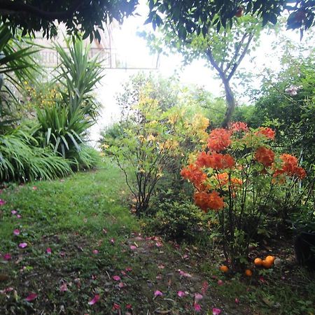 Apartmán Il Giardino Delle Ortensie Salto Chiesa Exteriér fotografie