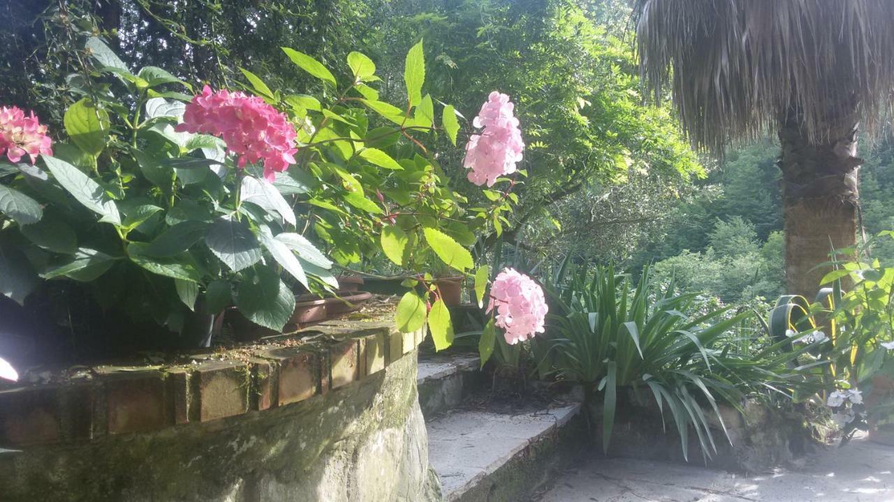 Apartmán Il Giardino Delle Ortensie Salto Chiesa Exteriér fotografie