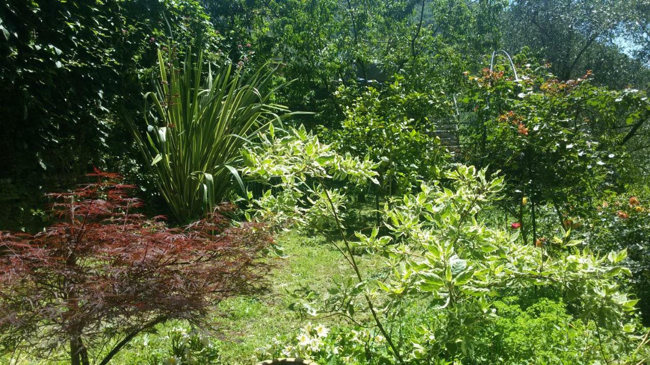 Apartmán Il Giardino Delle Ortensie Salto Chiesa Exteriér fotografie