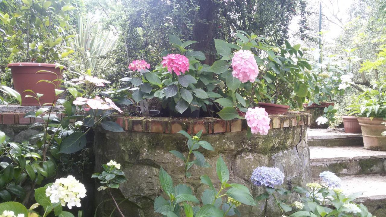 Apartmán Il Giardino Delle Ortensie Salto Chiesa Exteriér fotografie